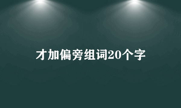才加偏旁组词20个字