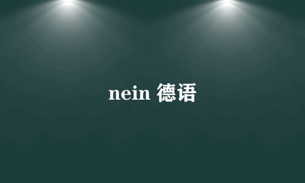 nein 德语