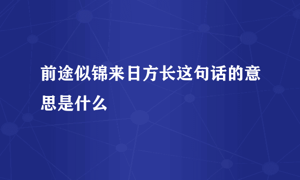 前途似锦来日方长这句话的意思是什么