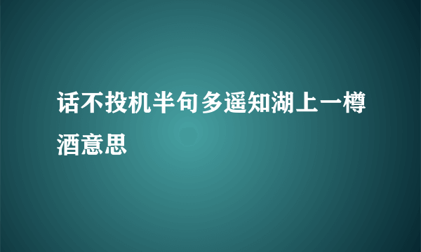 话不投机半句多遥知湖上一樽酒意思
