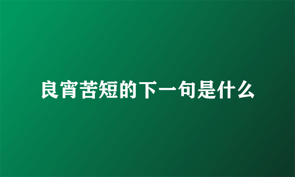 良宵苦短的下一句是什么