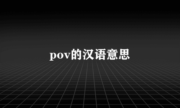 pov的汉语意思