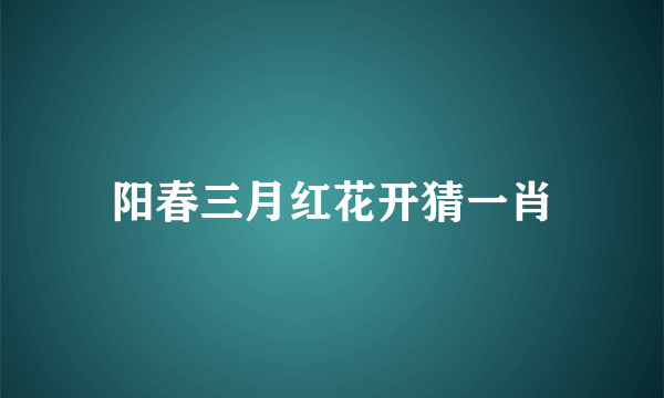 阳春三月红花开猜一肖