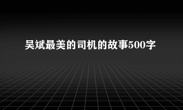 吴斌最美的司机的故事500字