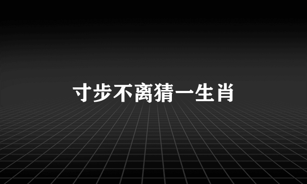 寸步不离猜一生肖