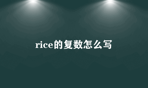 rice的复数怎么写