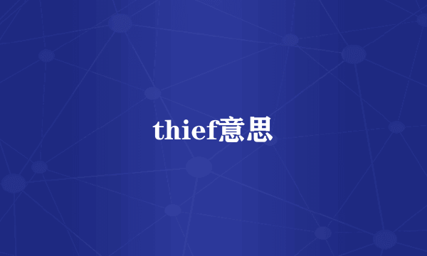 thief意思