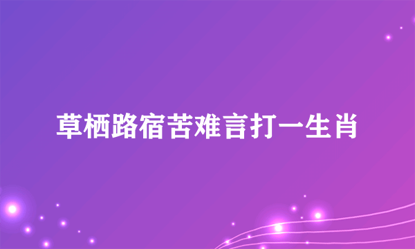 草栖路宿苦难言打一生肖