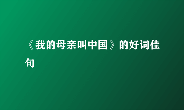 《我的母亲叫中国》的好词佳句