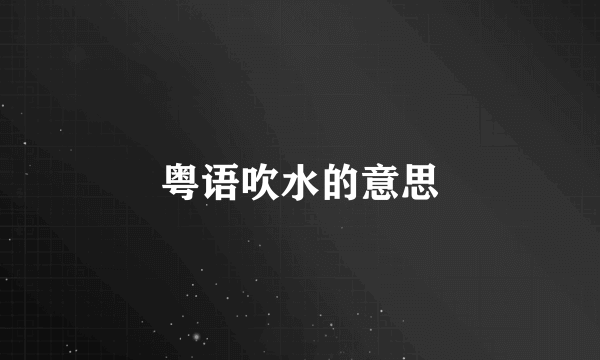 粤语吹水的意思