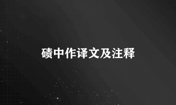 碛中作译文及注释