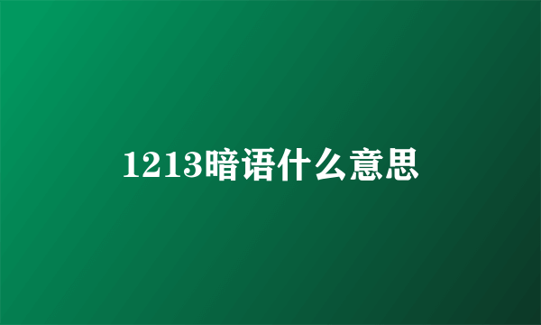1213暗语什么意思