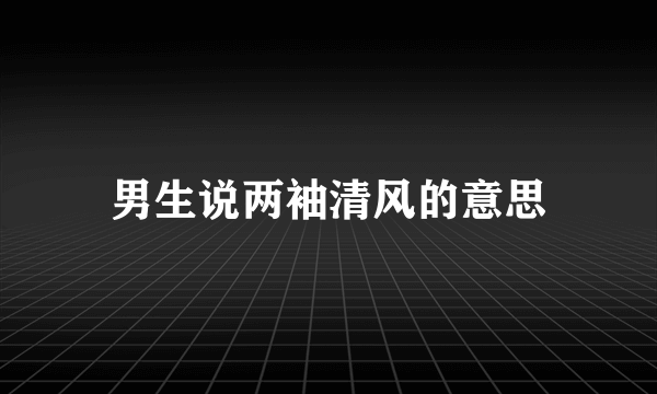 男生说两袖清风的意思