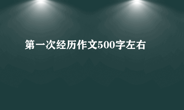 第一次经历作文500字左右