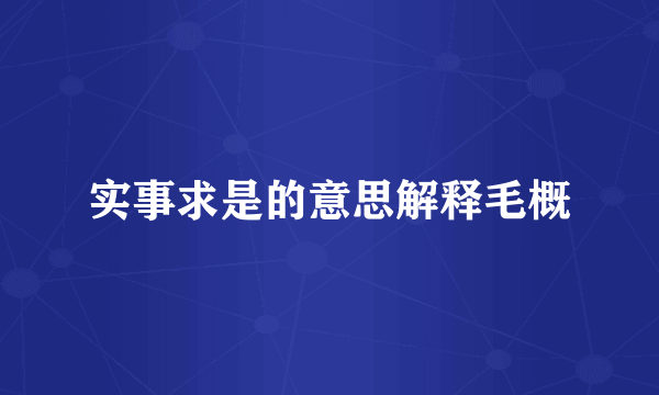 实事求是的意思解释毛概