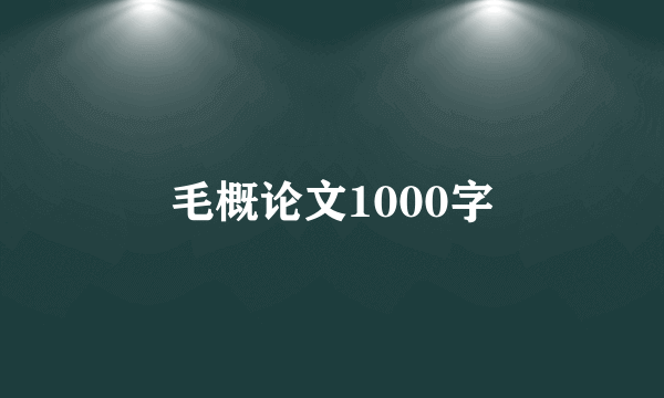 毛概论文1000字