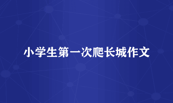 小学生第一次爬长城作文