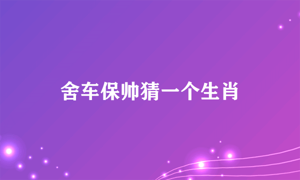 舍车保帅猜一个生肖