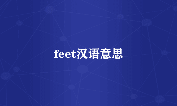 feet汉语意思