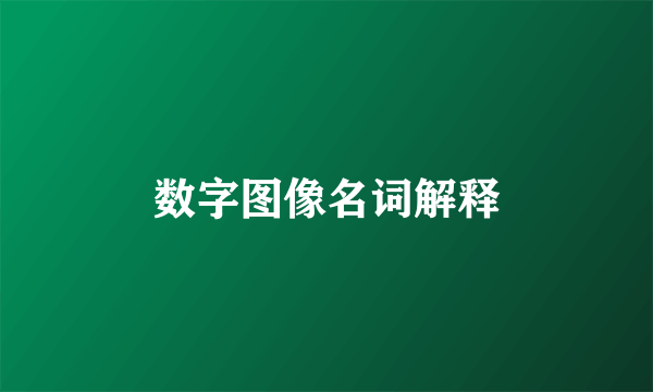 数字图像名词解释