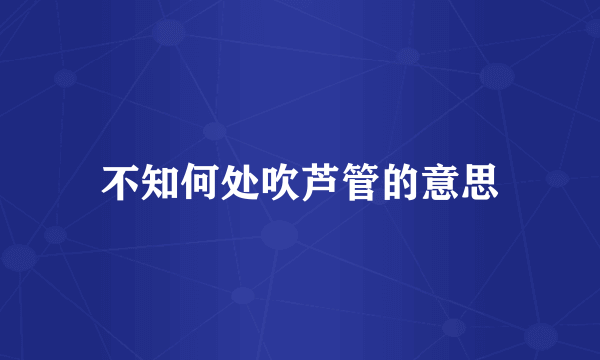 不知何处吹芦管的意思
