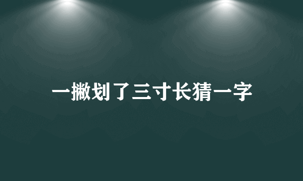 一撇划了三寸长猜一字