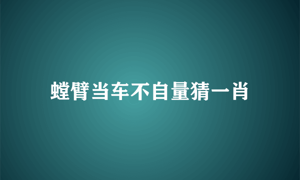 螳臂当车不自量猜一肖