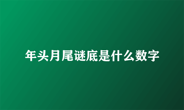 年头月尾谜底是什么数字