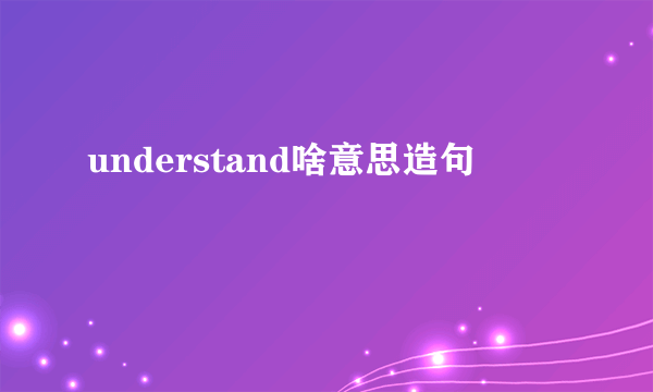 understand啥意思造句