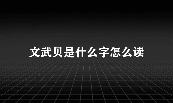 文武贝是什么字怎么读