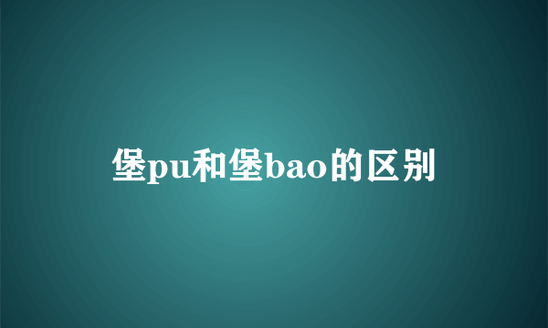 堡pu和堡bao的区别