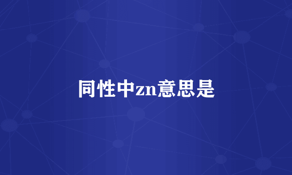 同性中zn意思是