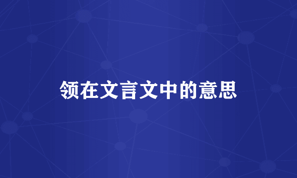 领在文言文中的意思
