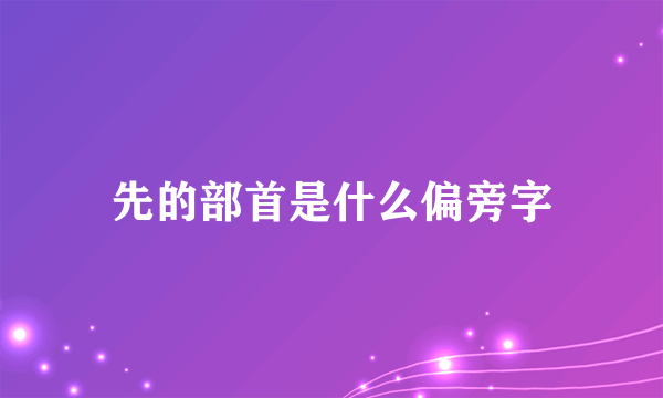 先的部首是什么偏旁字