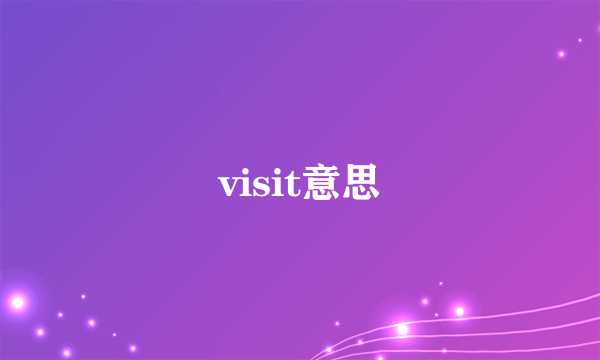 visit意思