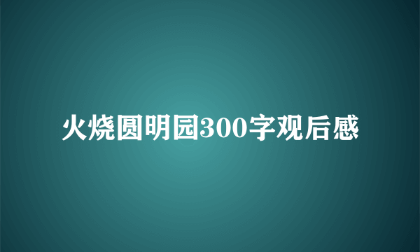 火烧圆明园300字观后感