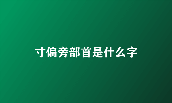 寸偏旁部首是什么字