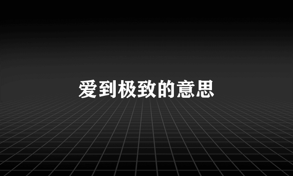 爱到极致的意思