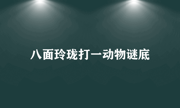 八面玲珑打一动物谜底