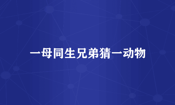 一母同生兄弟猜一动物