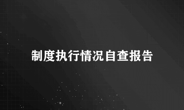 制度执行情况自查报告