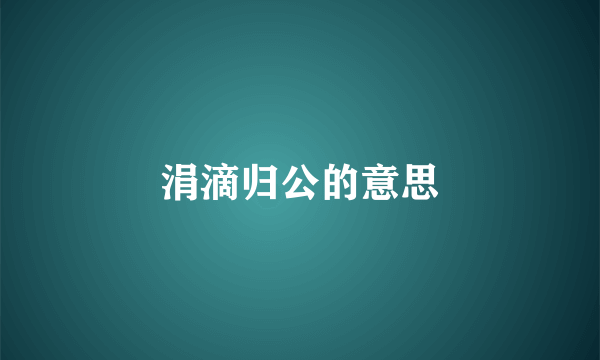 涓滴归公的意思