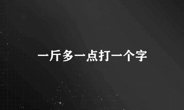 一斤多一点打一个字