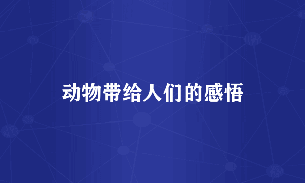 动物带给人们的感悟