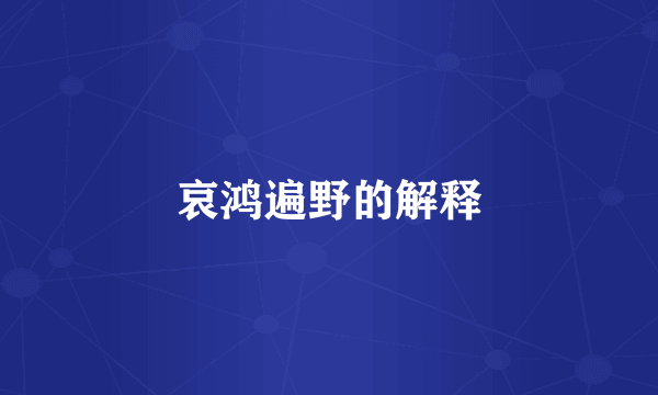 哀鸿遍野的解释