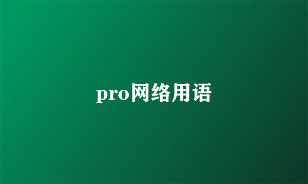 pro网络用语