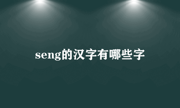 seng的汉字有哪些字