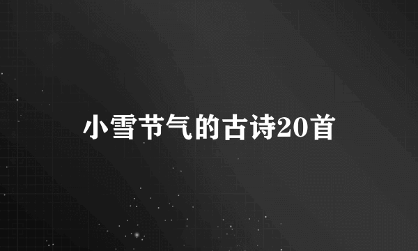 小雪节气的古诗20首