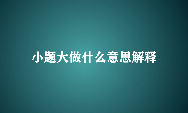 小题大做什么意思解释