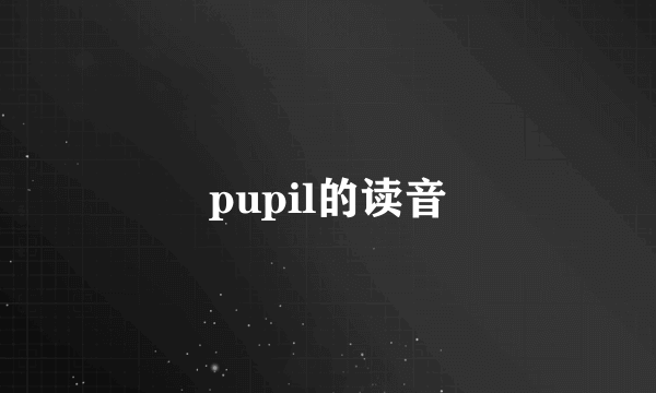 pupil的读音